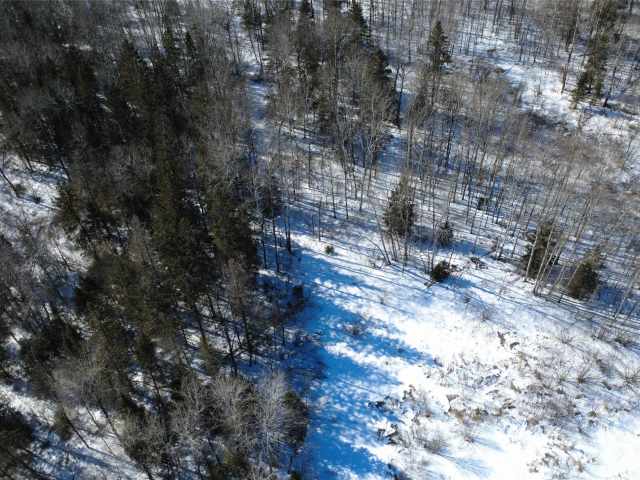 Prentice Land Real Estate