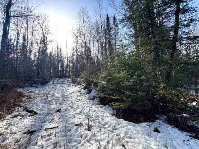 Prentice Land Real Estate