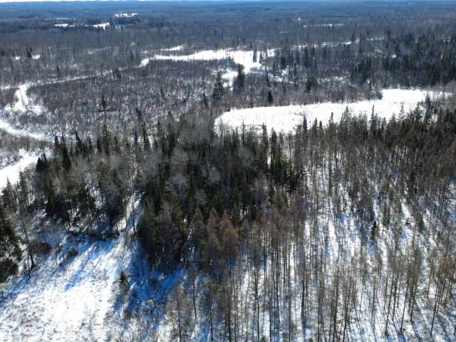 Prentice Land Real Estate