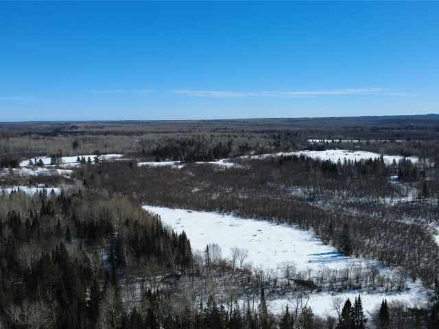 Prentice Land Real Estate