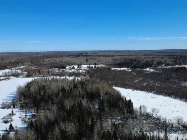 Prentice Land Real Estate