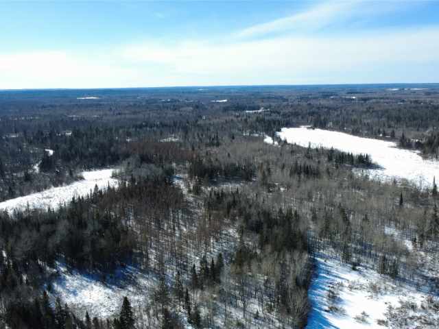 Prentice Land Real Estate