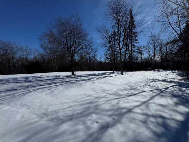 Prentice Land Real Estate