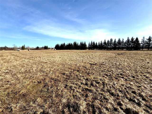 Prentice Land Real Estate