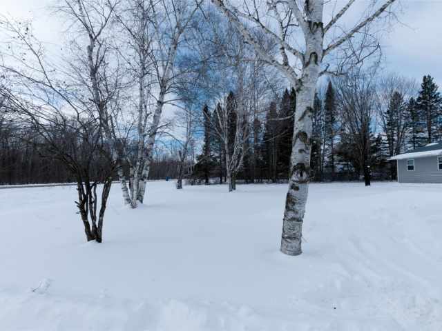 Birchwood Residential Real Estate