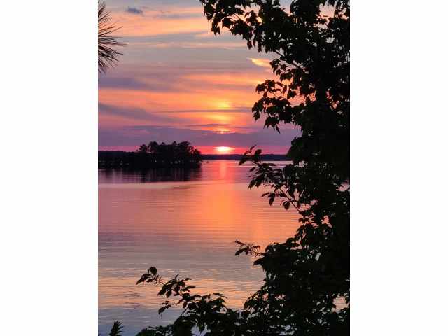 Hayward Multifamily Real Estate