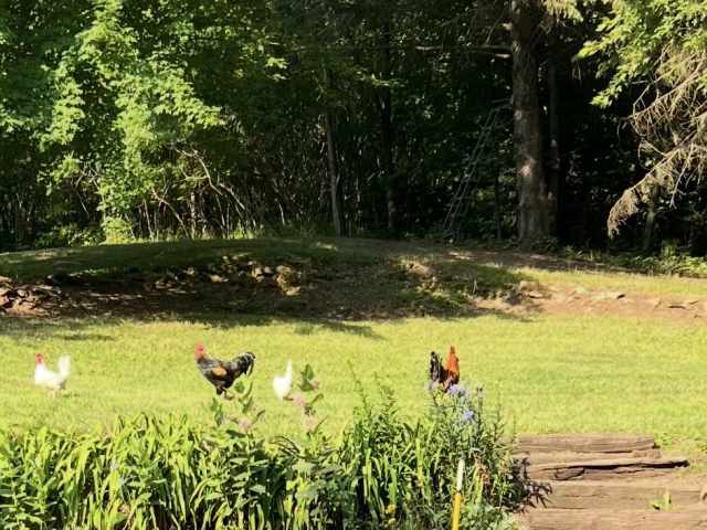 Fall Creek Residential Real Estate