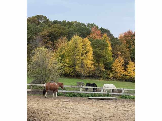 Fall Creek Residential Real Estate