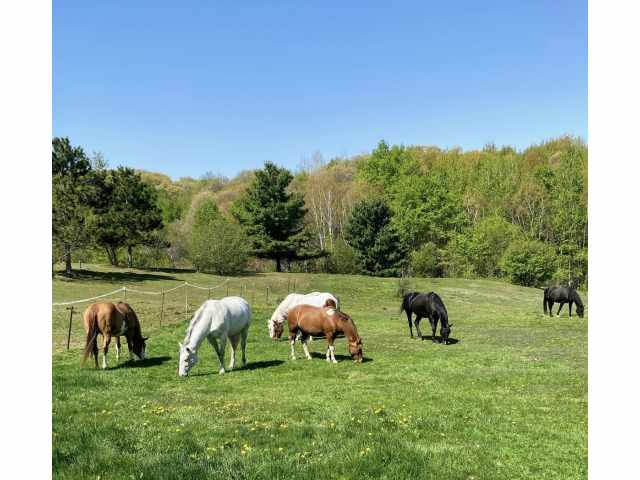 Fall Creek Residential Real Estate