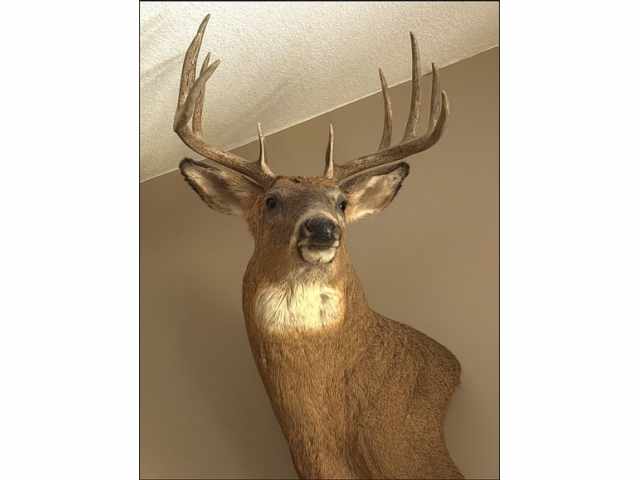 Maiden Rock Land Real Estate