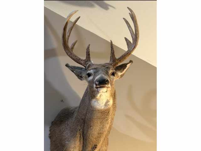 Maiden Rock Land Real Estate