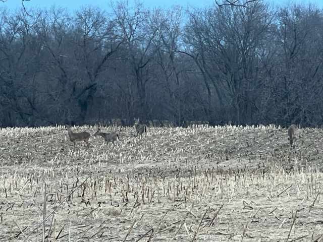Maiden Rock Land Real Estate
