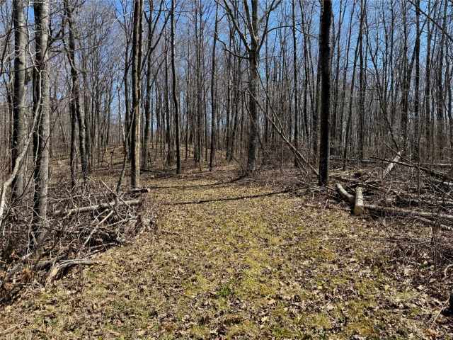 Stone Lake Land Real Estate