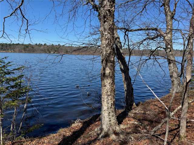 Stone Lake Land Real Estate