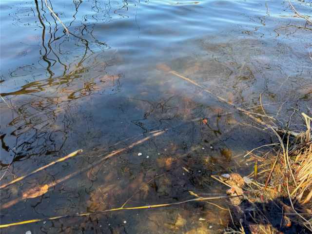 Stone Lake Land Real Estate