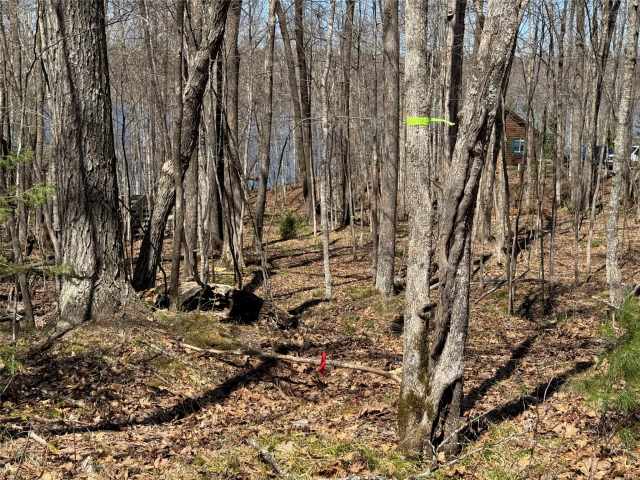 Stone Lake Land Real Estate