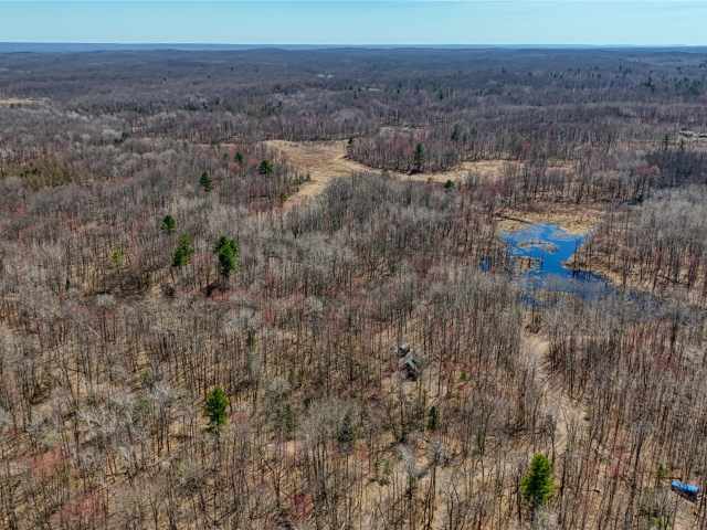 Stone Lake Land Real Estate