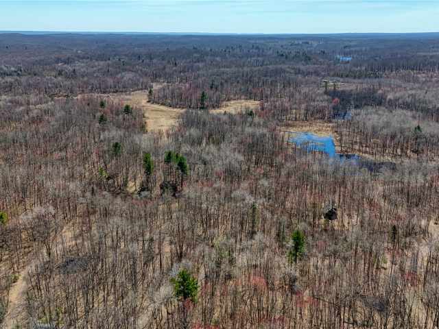 Stone Lake Land Real Estate