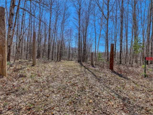 Stone Lake Land Real Estate