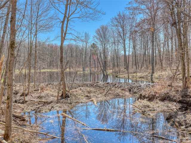 Stone Lake Land Real Estate