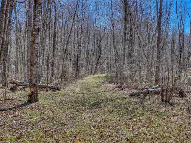 Stone Lake Land Real Estate