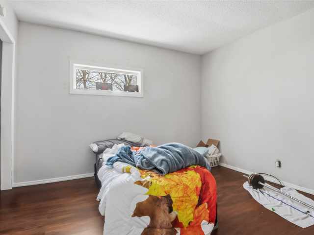 Elk Mound Multifamily Real Estate