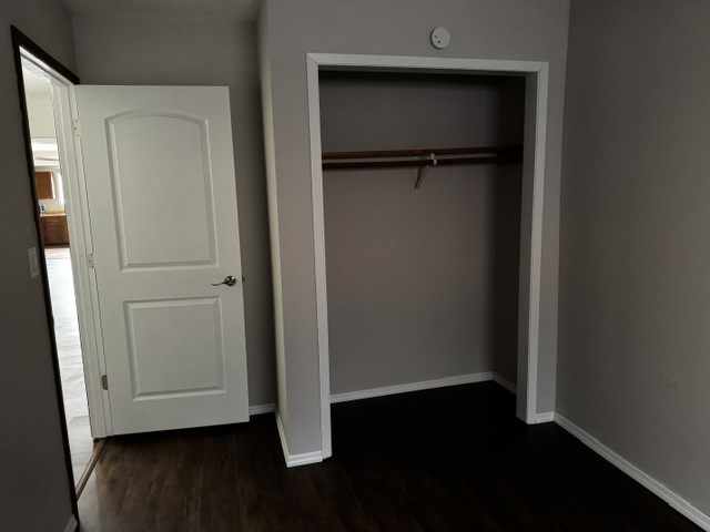 Elk Mound Multifamily Real Estate