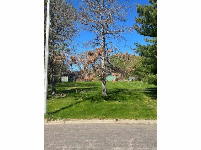 Rice Lake Land Real Estate