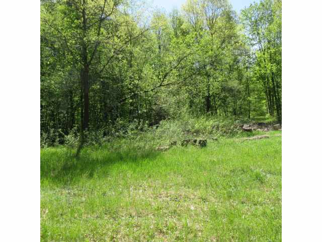 Boyceville Land Real Estate