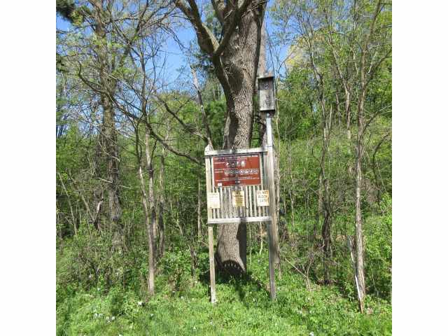Boyceville Land Real Estate