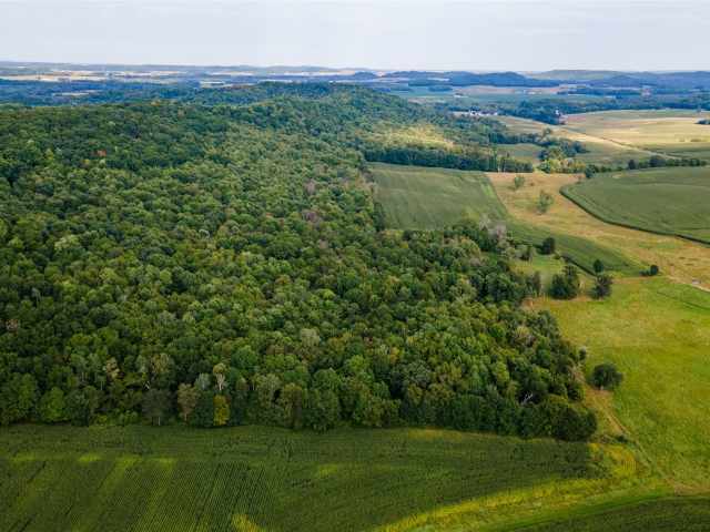 Colfax Land Real Estate