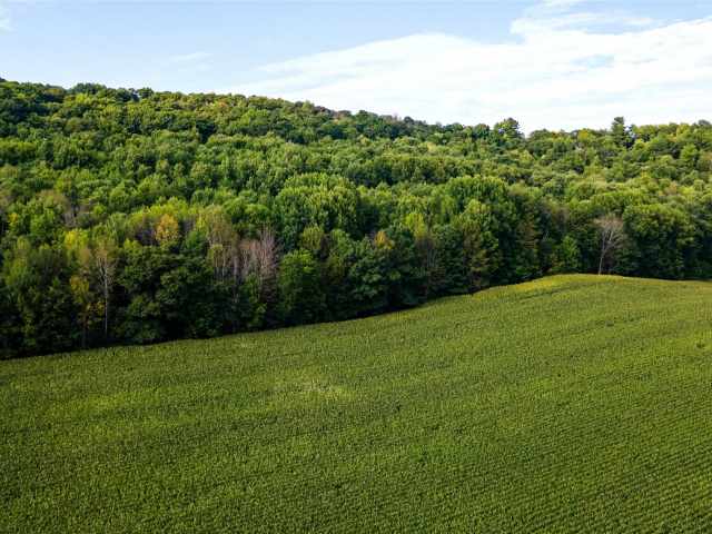 Colfax Land Real Estate
