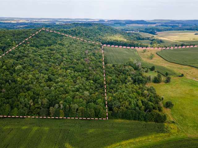 Colfax Land Real Estate