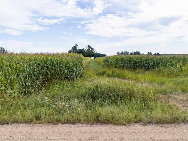 Sarona Land Real Estate