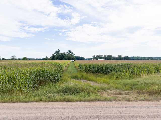Sarona Land Real Estate