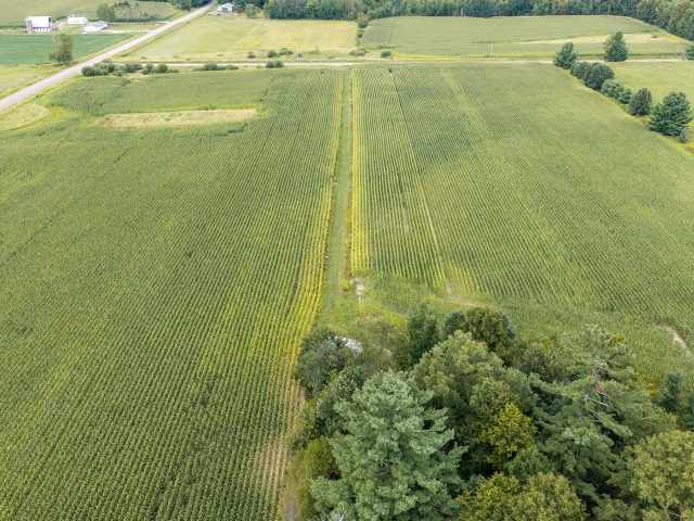 Sarona Land Real Estate