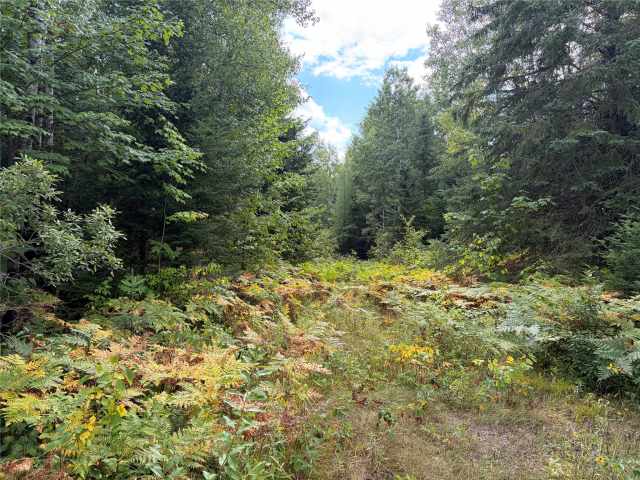Glidden Land Real Estate