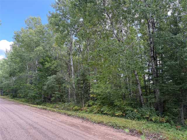 Glidden Land Real Estate