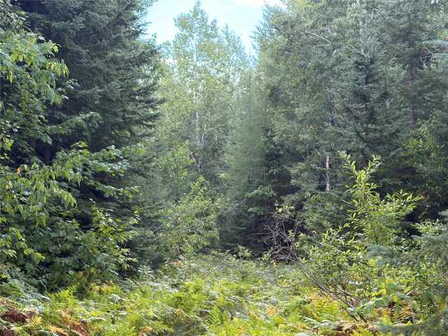 Glidden Land Real Estate