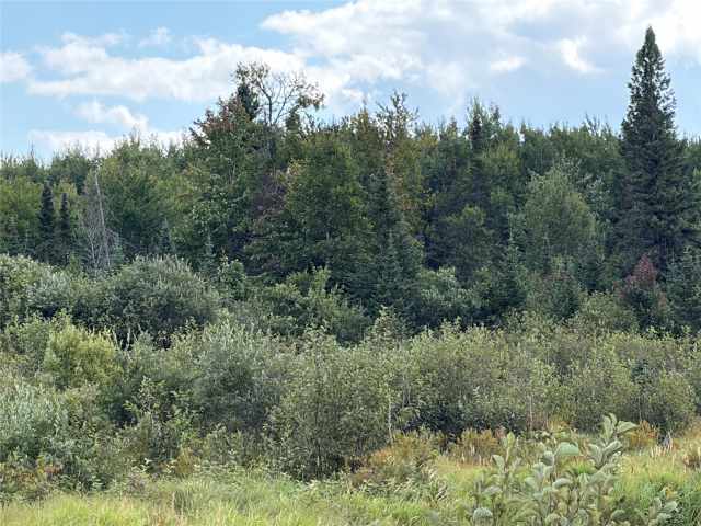 Glidden Land Real Estate