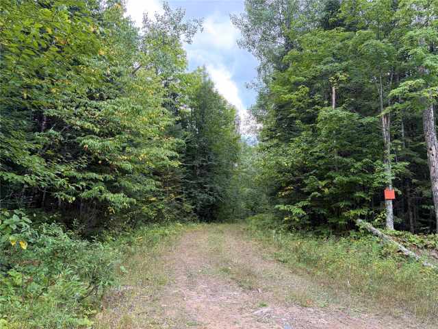 Glidden Land Real Estate