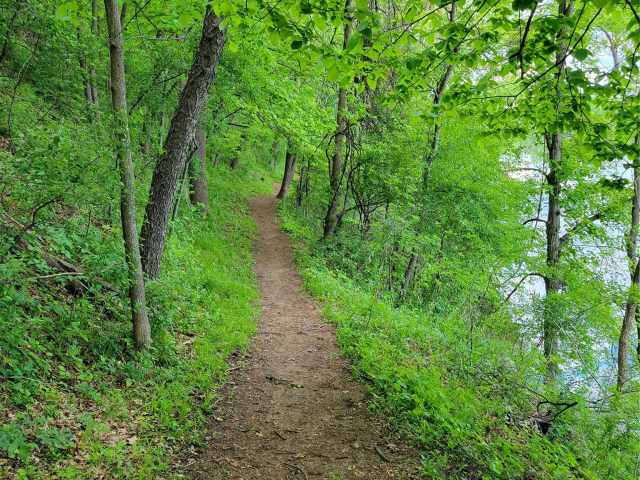 Chippewa Falls Residential Real Estate