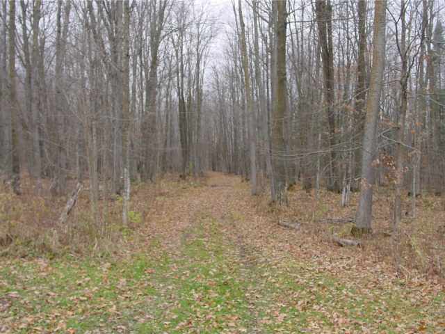 Ladysmith Land Real Estate