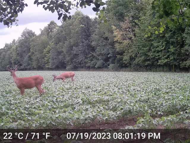 Ladysmith Land Real Estate