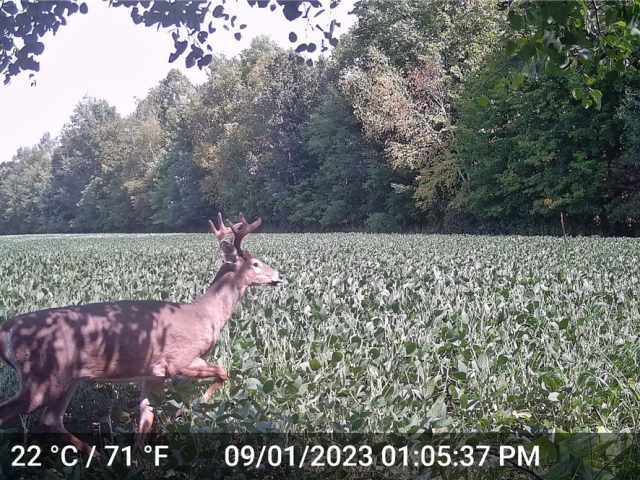 Ladysmith Land Real Estate