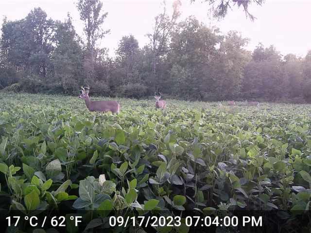 Ladysmith Land Real Estate