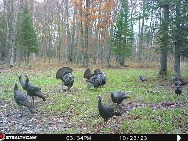 Ladysmith Land Real Estate