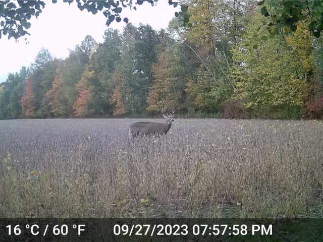 Ladysmith Land Real Estate