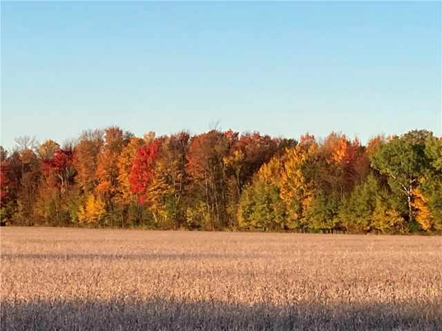 Ladysmith Land Real Estate