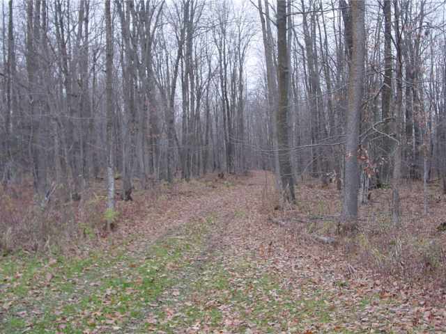 Ladysmith Land Real Estate